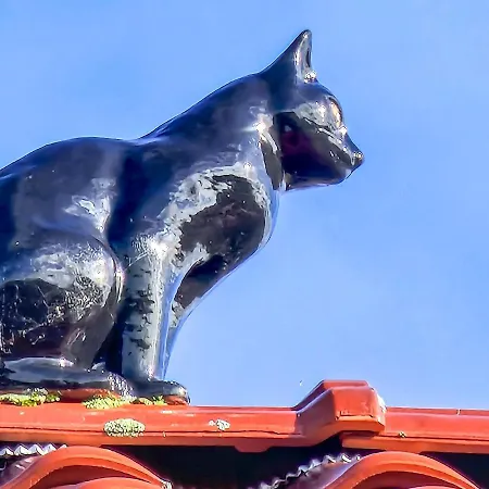 Daire Stoertebeker Residenz *